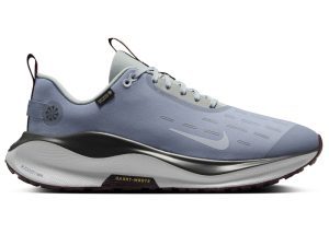 Nike React Infinity Run 4 Gore-Tex Ashen Slate Light Pumice Dark Smoke Grey Football Grey (HQ0265-400)