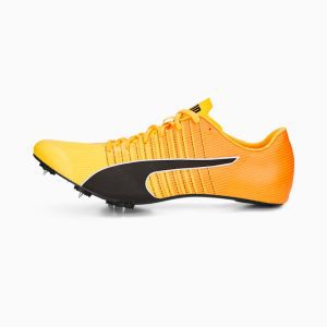 puma-evospeed 377379-01