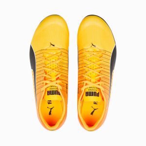 puma-evospeed 377379-01