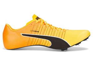 puma-evospeed 377379-01