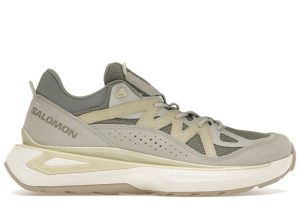 Salomon Odyssey Elmt Low Shadow Aloe Wash (L47376700)