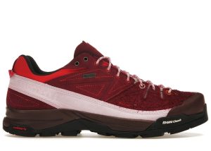 Salomon X-Alpages Gore-Tex The Broken Arm (L47346100)