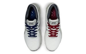 asics-gel-nimbus 1021A516-020