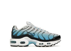 Nike Air Max Plus Ice (FD9767-100)