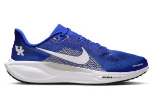 Nike Air Zoom Pegasus 41 Kentucky Wildcats (IB3266-400)