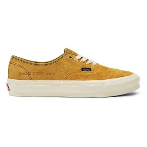 vans-authentic VN0A5DYGAR61