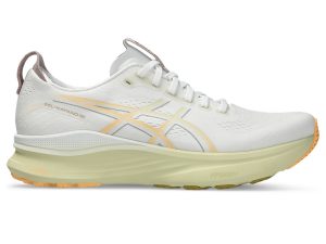 asics-gel-kayano 1011C052-101