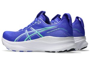 asics-gel-kayano 1011C052-405