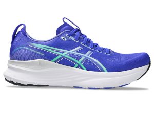 asics-gel-kayano 1011C052-405