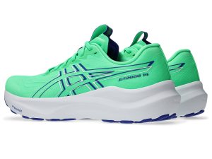 asics-gt-2000-2 1011C056-300