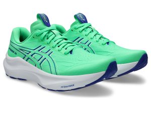 asics-gt-2000-2 1011C056-300