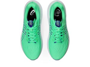 asics-gt-2000-2 1011C056-300
