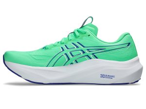asics-gt-2000-2 1011C056-300