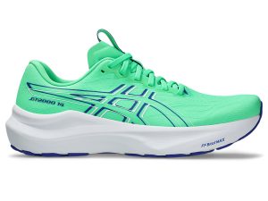 asics-gt-2000-2 1011C056-300