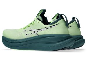 asics-gel-nimbus 1011C127-750