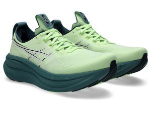 asics-gel-nimbus 1011C127-750