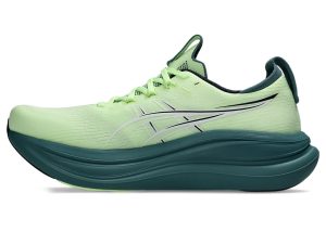 asics-gel-nimbus 1011C127-750