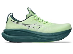 asics-gel-nimbus 1011C127-750