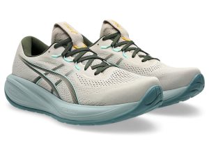 asics-gel-cumulus 1011C143-250