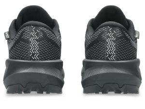 asics-gt 1011C165-002