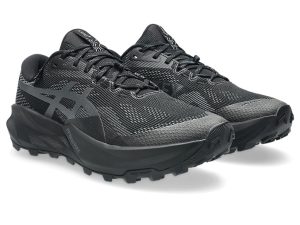 asics-gt 1011C165-002