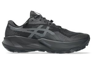 asics-gt 1011C165-002
