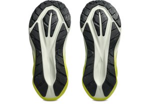 asics-novablast 1011C217-300