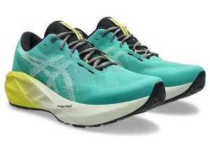 asics-novablast 1011C217-300