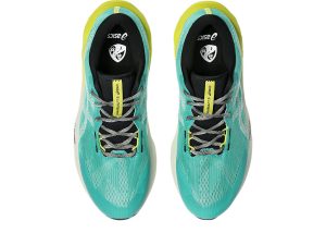 asics-novablast 1011C217-300