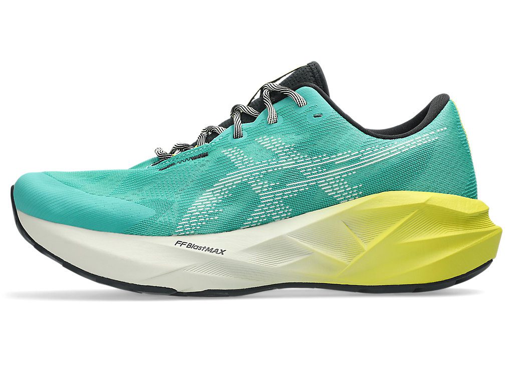 asics-novablast 1011C217-300