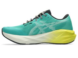 asics-novablast 1011C217-300