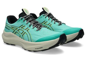asics-gt-2000-2 1011C219-300