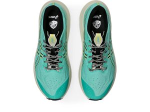 asics-gt-2000-2 1011C219-300