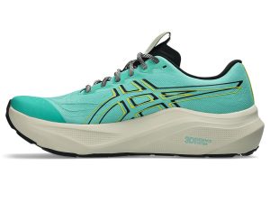 asics-gt-2000-2 1011C219-300
