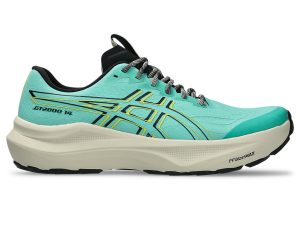 asics-gt-2000-2 1011C219-300