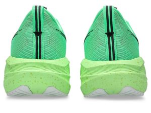 asics-novablast 1011C224-300