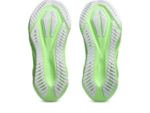 asics-novablast 1011C224-300