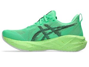 asics-novablast 1011C224-300