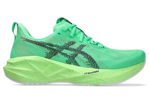 asics-novablast 1011C224-300