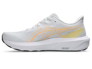 asics-gt-1000 1011C230-100