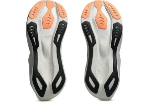 asics-novablast 1011C243-001