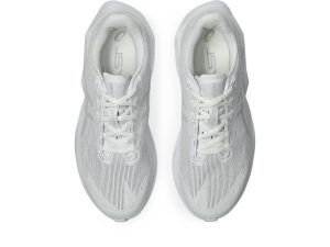 asics-novablast 1011C243-100