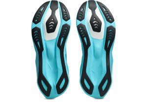 asics-novablast 1011C243-400