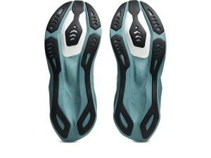 asics-novablast 1011C243-401