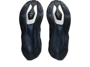 asics-novablast 1011C243-402
