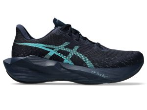 asics-novablast 1011C243-402