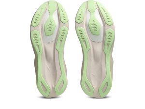 asics-novablast 1011C243-700