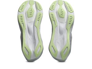 asics-novablast 1011C312-020