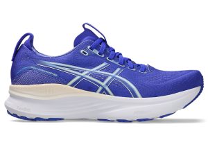 asics-gel-kayano 1012B838-405