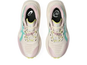 asics-trabuco-max 1012B937-250